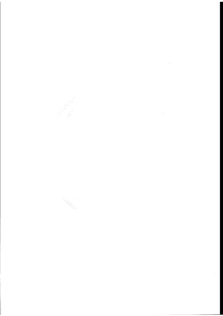 C:UserslenovoDesktop\u65b0建文件夹\u65b0建文件夹\u65b0建文件夹 (218)\u65b0建文件夹\u3010行业标准】道路交叉口发光警示柱_页面_06.jpg
